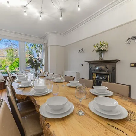 Fir Trees Windermere