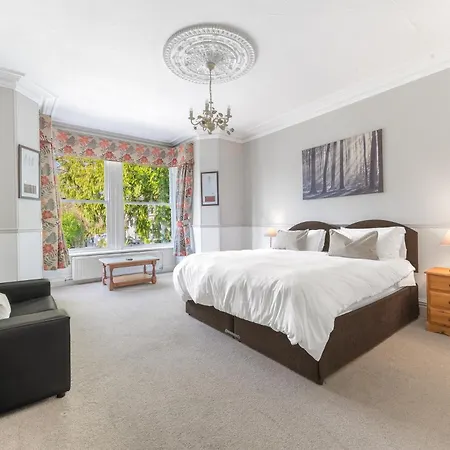 Fir Trees ويندرمير