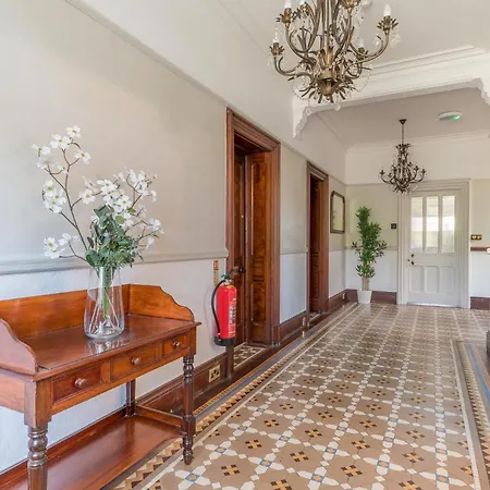 Fir Trees ويندرمير